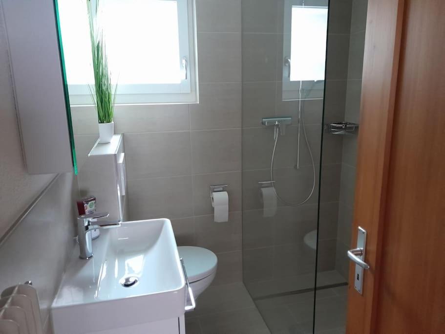 2 1/2 Zimmer Ferienwohnung Meiringen Extérieur photo